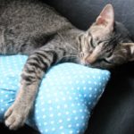 腰痛に良い抱き枕のおすすめは?口コミと評判もしっかり確認