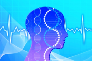 レム睡眠・ノンレム睡眠を正しく理解！目覚まし時計の上手な使い方