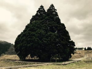 ジブリの音楽で極上のリラックスタイムと睡眠を手に入れよう