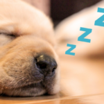 いびきがうるさいのはこれが原因だ!具体的な対策もご紹介します