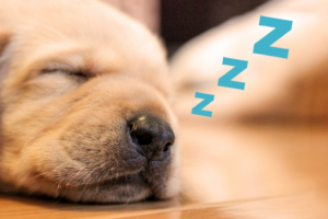 いびきがうるさいのはこれが原因だ！具体的な対策もご紹介します