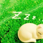 家族のいびきがうるさいから寝れない・眠れない人におすすめの対策