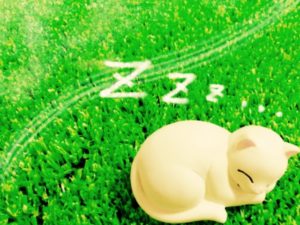 家族のいびきがうるさいから寝れない・眠れない人におすすめの対策