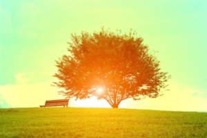 光タイプの目覚まし時計を探している人におすすめのモデルはこれだ！