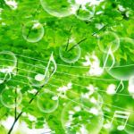 睡眠時にリラックスさせてくれる人気の音楽CDをご紹介します