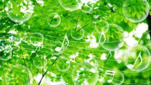 睡眠時にリラックスさせてくれる人気の音楽CDをご紹介します