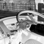 居眠り運転を防止するには何をすべき?効果的な3つの方法をご紹介