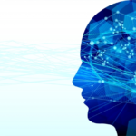 睡眠は脳の働きをサポートしていた!記憶の整理には睡眠が不可欠