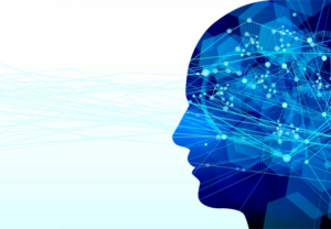 睡眠は脳の働きをサポートしていた！記憶の整理には睡眠が不可欠