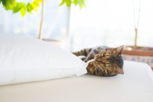 口コミで大人気の低反発マットレス！ランキング上位よりおすすめ３選