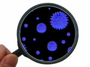 マットレスにカビが生えた！取り方とクリーニングの注意点をご紹介